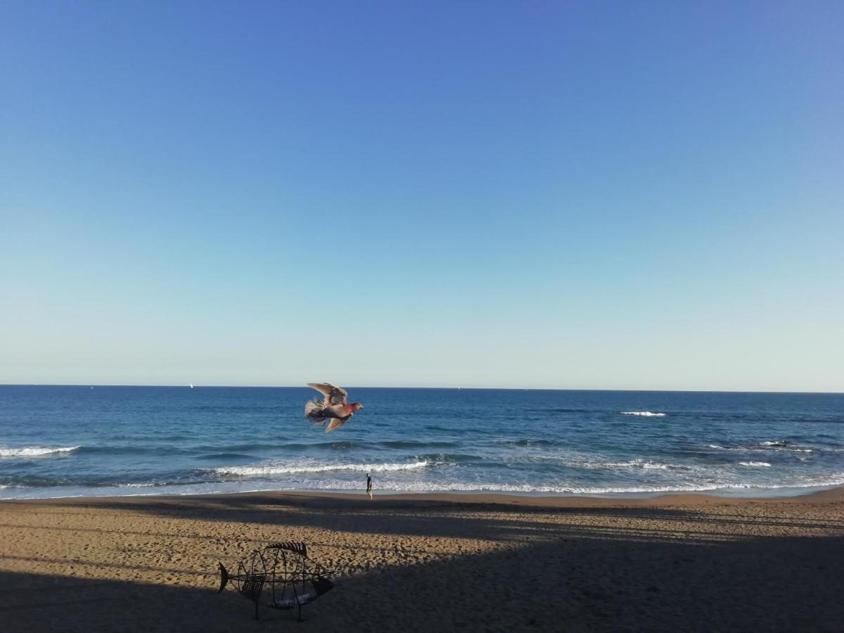 Lejlighed Apartamento-estudio Maite-3 *
